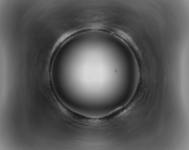 X0000087341176200704201140