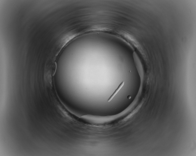 X0000087341177200704201140