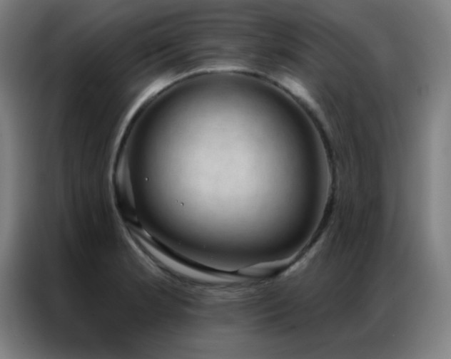X0000087341181200704201140
