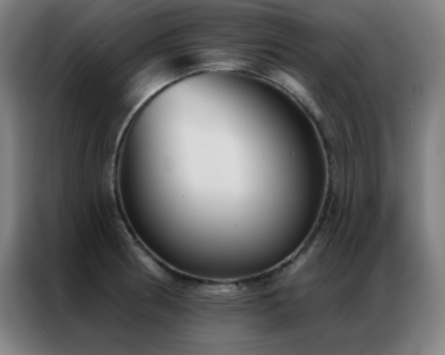 X0000087341186200704201140