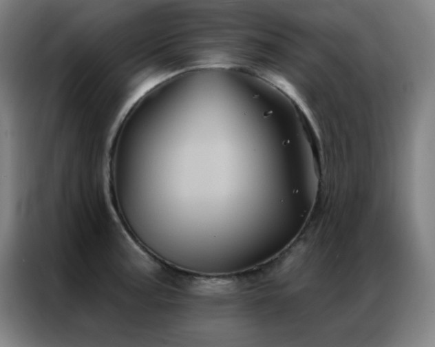 X0000087341187200704201140
