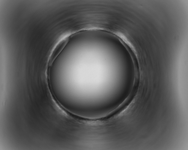 X0000087341189200704201140