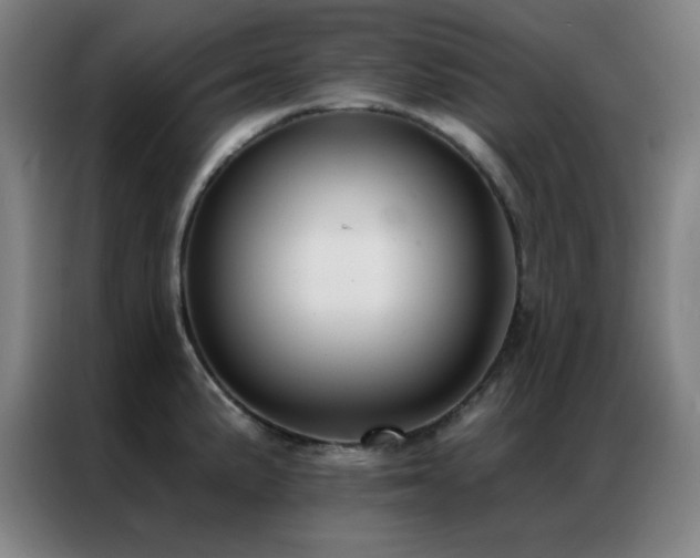 X0000087341191200704201140