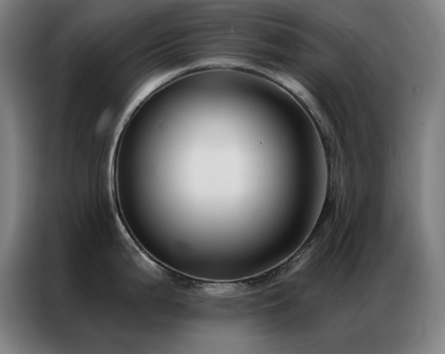 X0000087341199200704201140