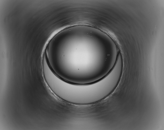 X0000087341200200704201140