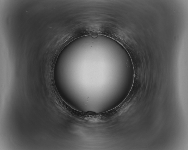 X0000087341201200704201139
