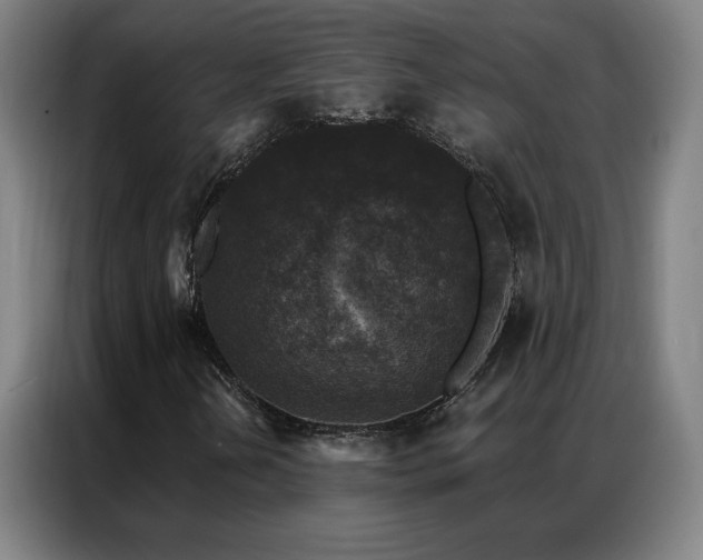 X0000087341202200704201139