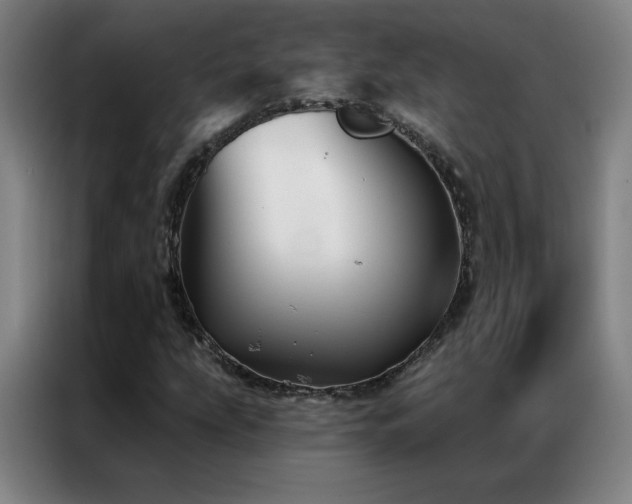 X0000087341207200704201139
