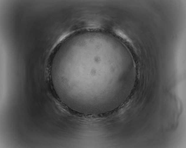 X0000087341208200704201139