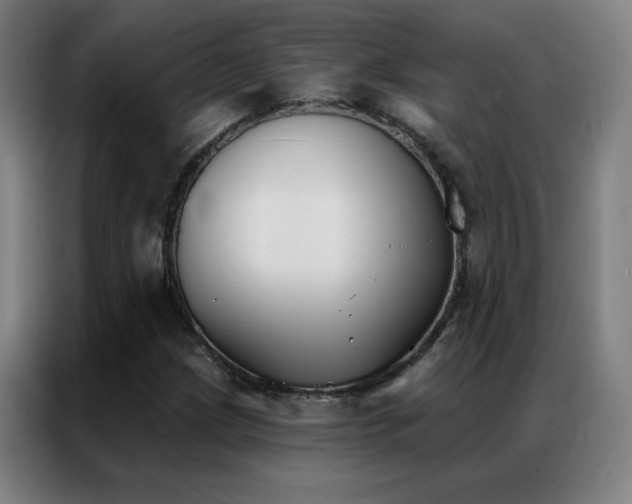 X0000087341209200704201139