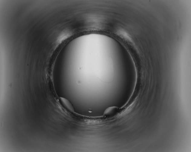X0000087341210200704201139