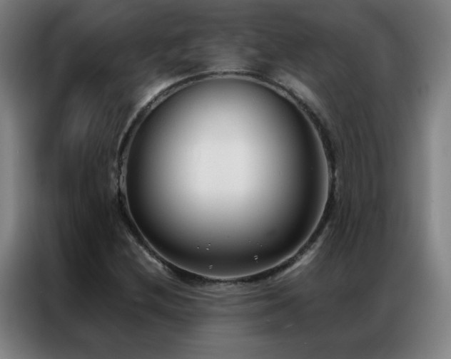 X0000087341212200704201139