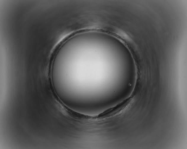 X0000087341216200704201139