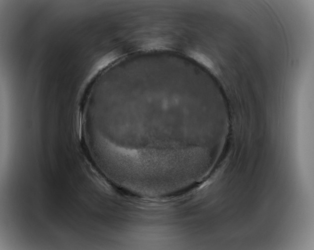 X0000087341219200704201139