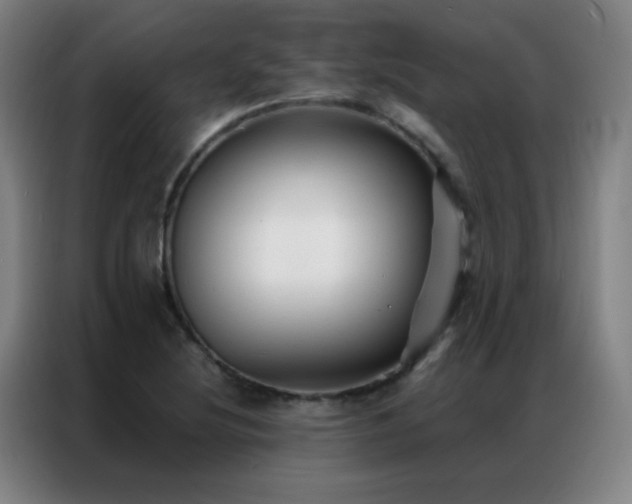 X0000087341220200704201139
