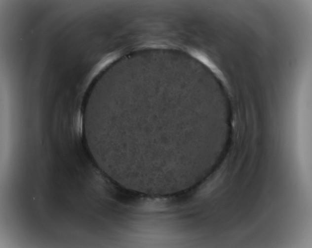 X0000087341221200704201139