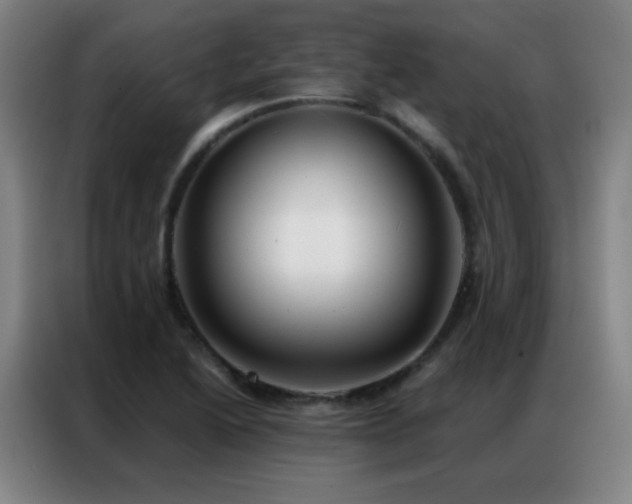 X0000087341222200704201139