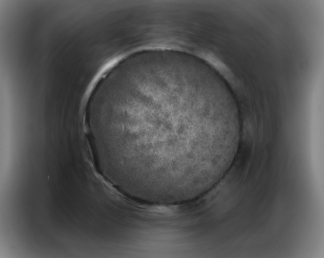 X0000087341224200704201139