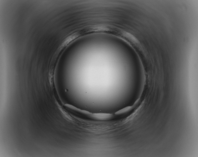X0000087341225200704201139