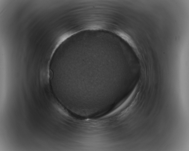 X0000087341226200704201139