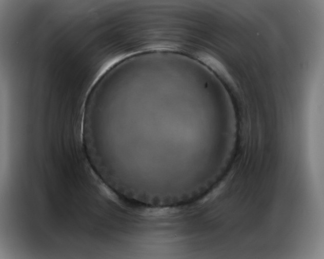 X0000087341228200704201140