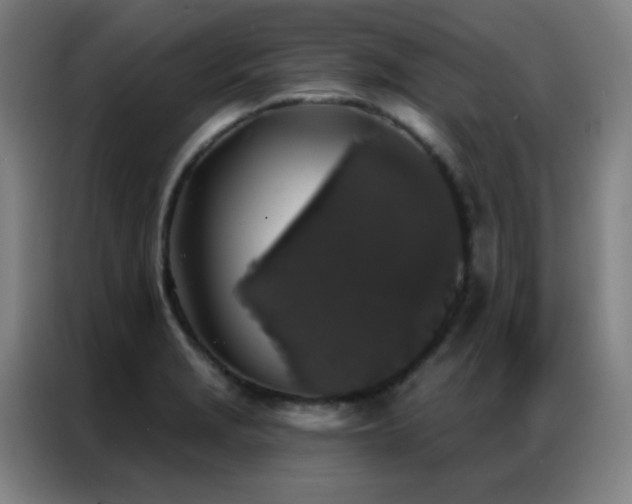 X0000087341229200704201140