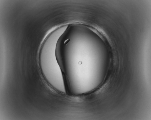 X0000087341230200704201140