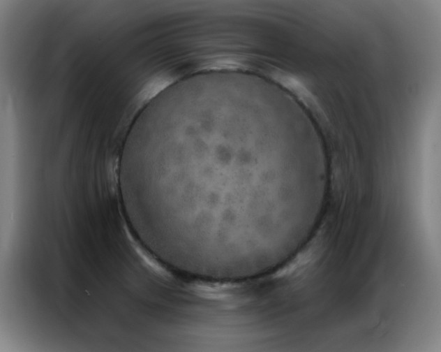 X0000087341233200704201140