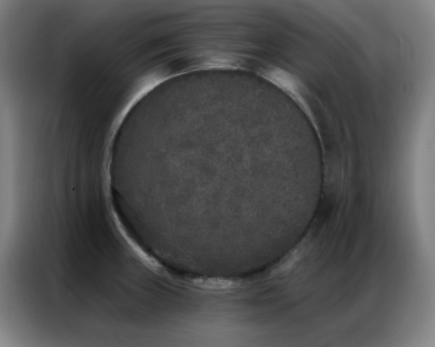 X0000087341235200704201140
