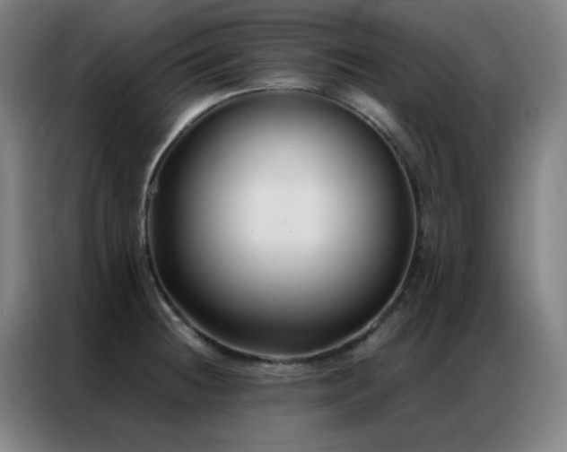 X0000087341236200704201140