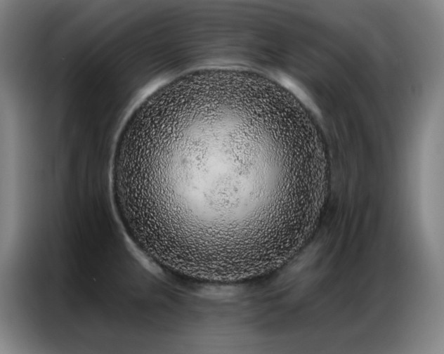 X0000087341237200704201140