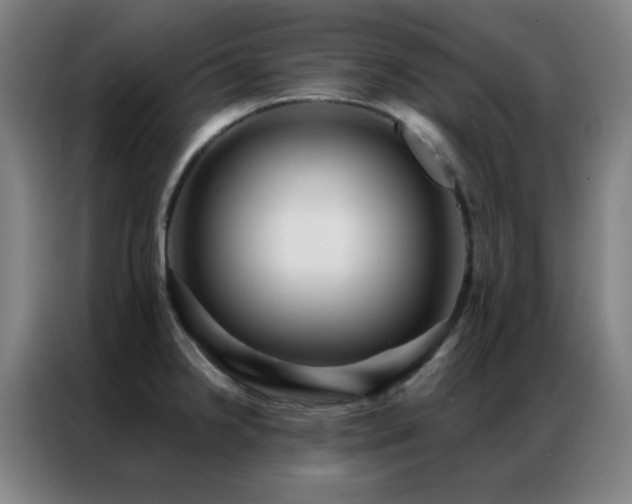 X0000087341238200704201140