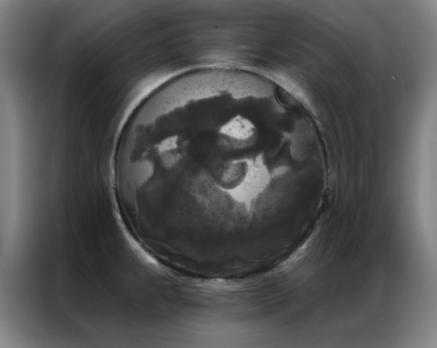 X0000087341239200704201140