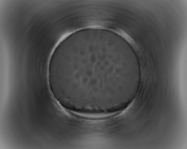 X0000087341240200704201140