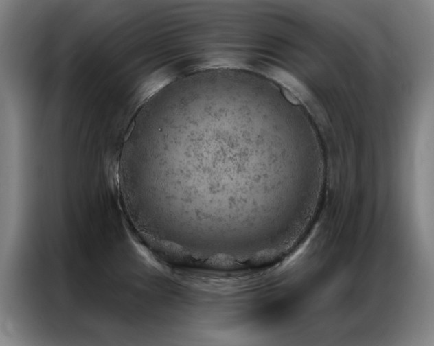 X0000087341241200704201140