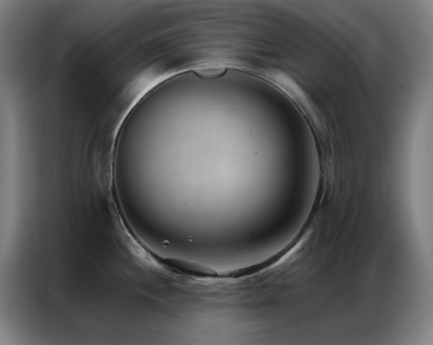 X0000087341244200704201140