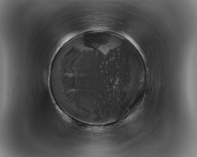 X0000087341245200704201140