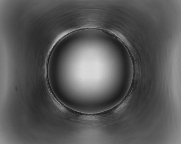 X0000087341246200704201140