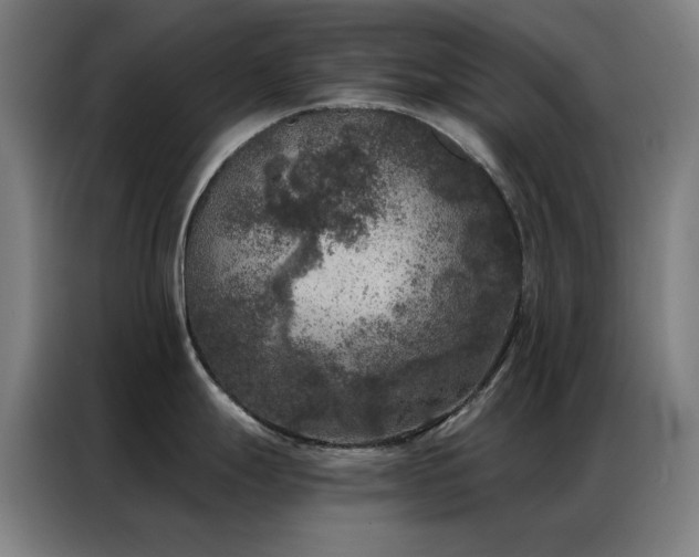X0000087341247200704201140