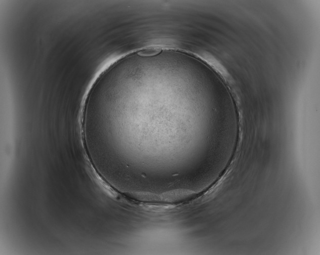 X0000087341248200704201140