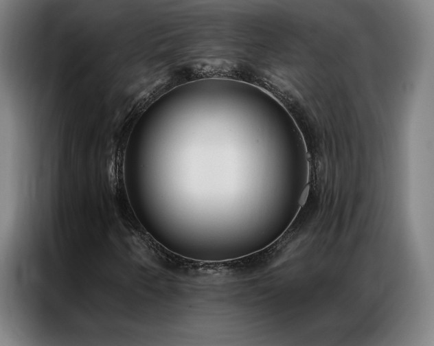 X0000087341250200704201139