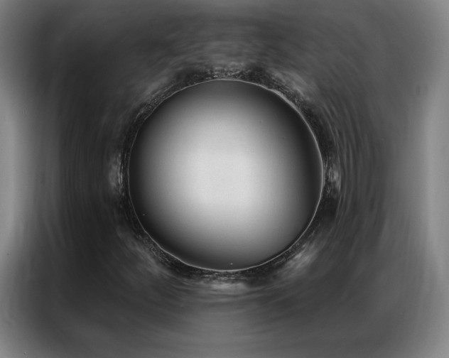 X0000087341252200704201139