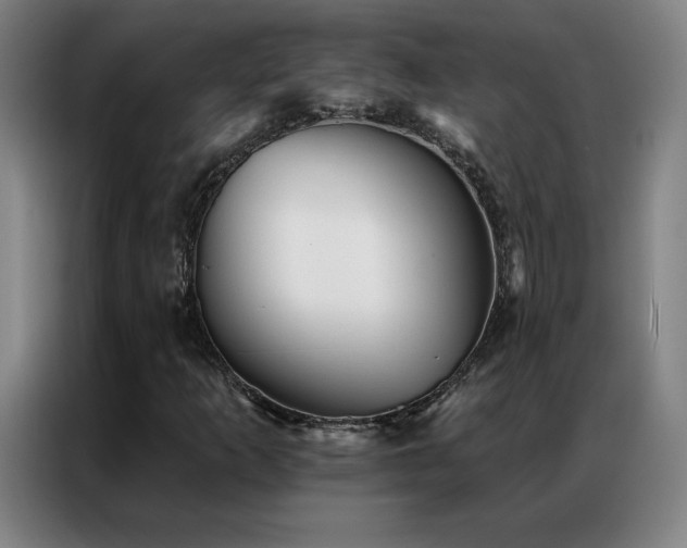 X0000087341253200704201139
