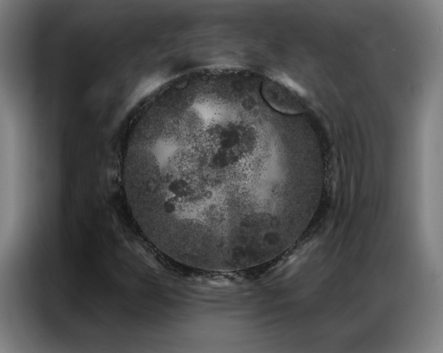 X0000087341255200704201139