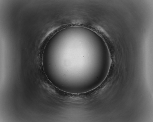 X0000087341256200704201139