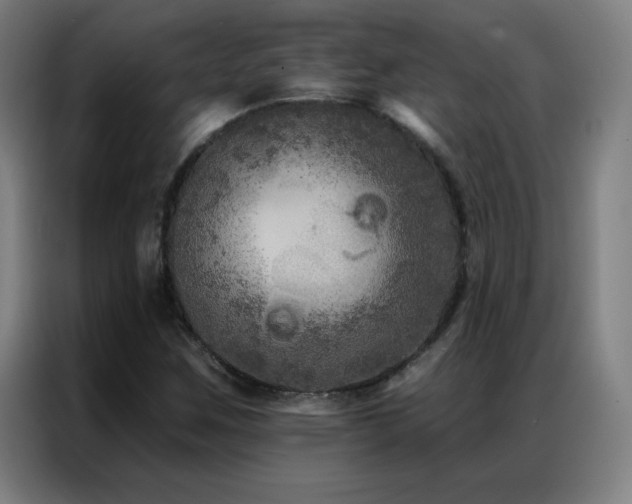 X0000087341259200704201139