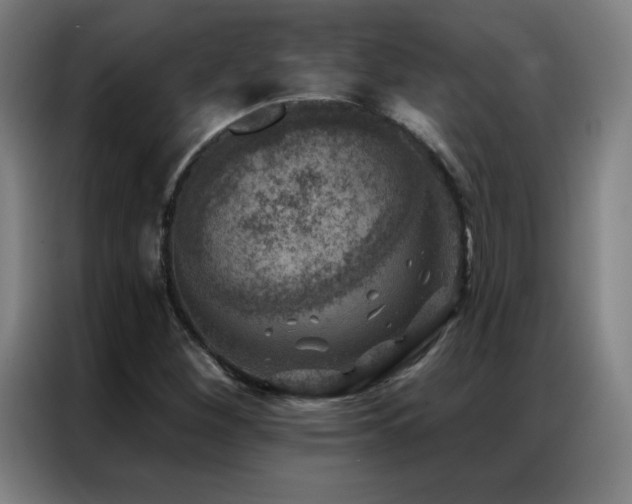 X0000087341260200704201139