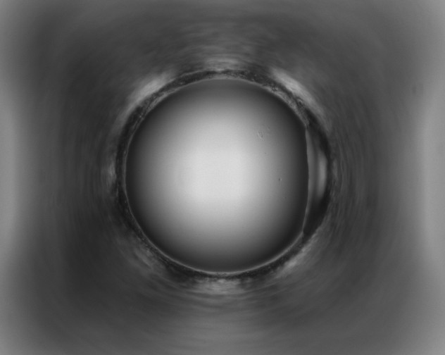 X0000087341261200704201139