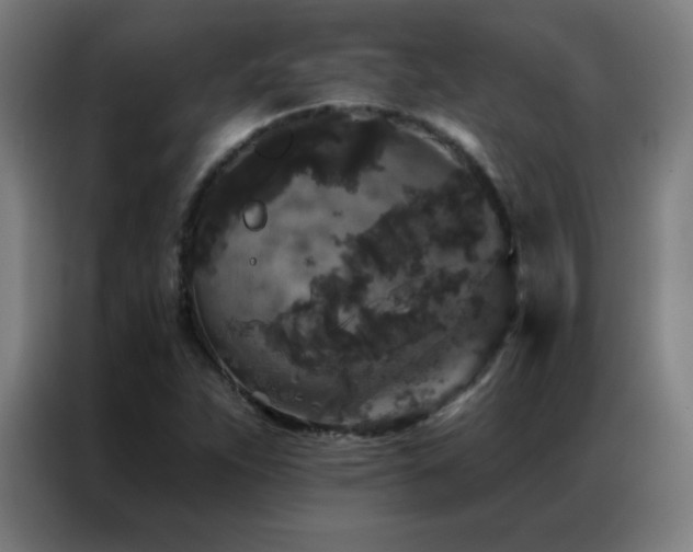 X0000087341263200704201139