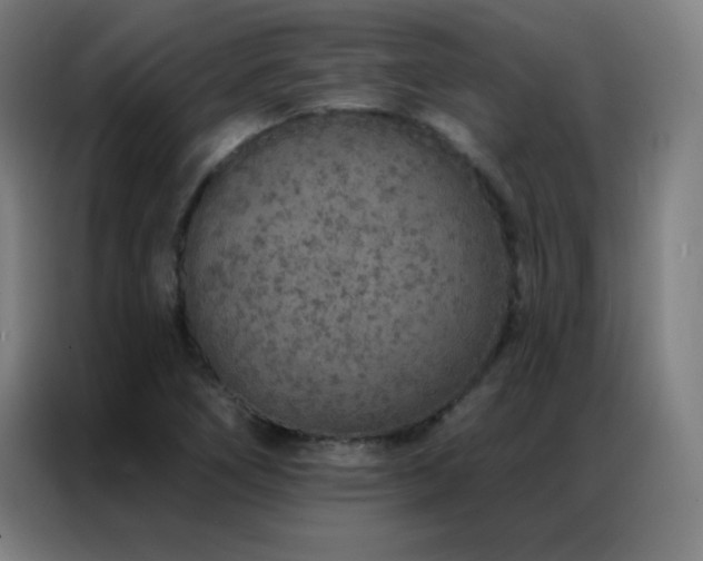 X0000087341266200704201139